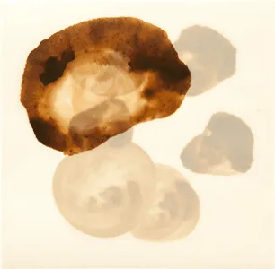 Erdpech, Werk 8 von 14, 21 × 21 cm — Pia Schläppi