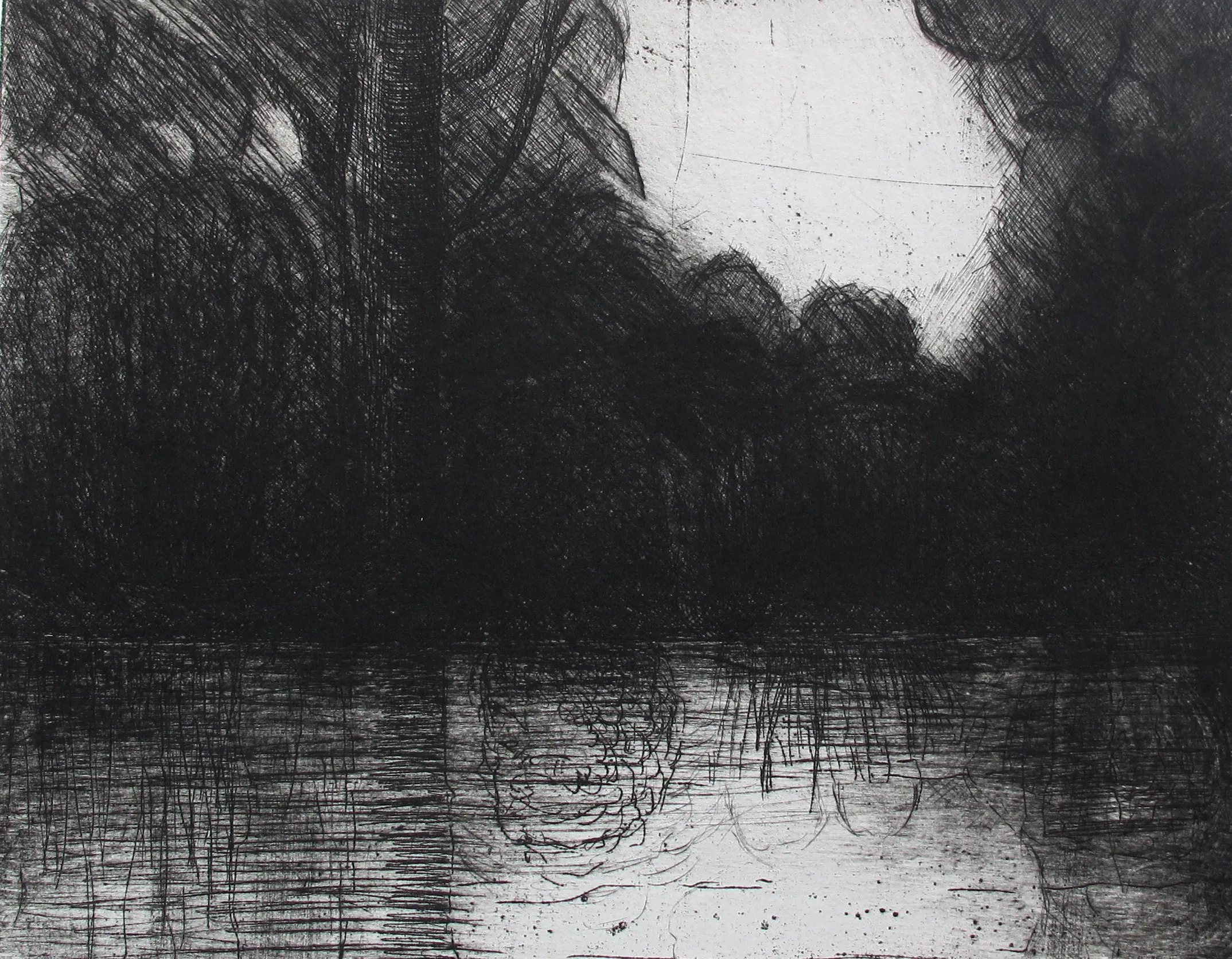Tiefdruck / Monotypien Gumprint, Werk 12 von 47 — Pia Schläppi