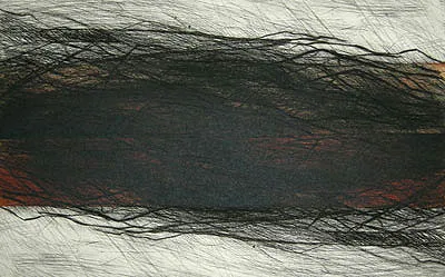 Tiefdruck / Monotypien Gumprint, Werk 19 von 47 — Pia Schläppi