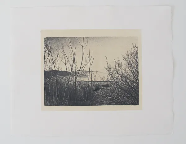 Tiefdruck / Monotypien Gumprint, Werk 42 von 47, 38 × 48 cm — Pia Schläppi