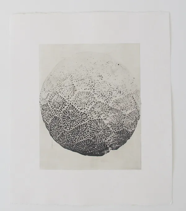 Tiefdruck / Monotypien Gumprint, Werk 26 von 47 — Pia Schläppi