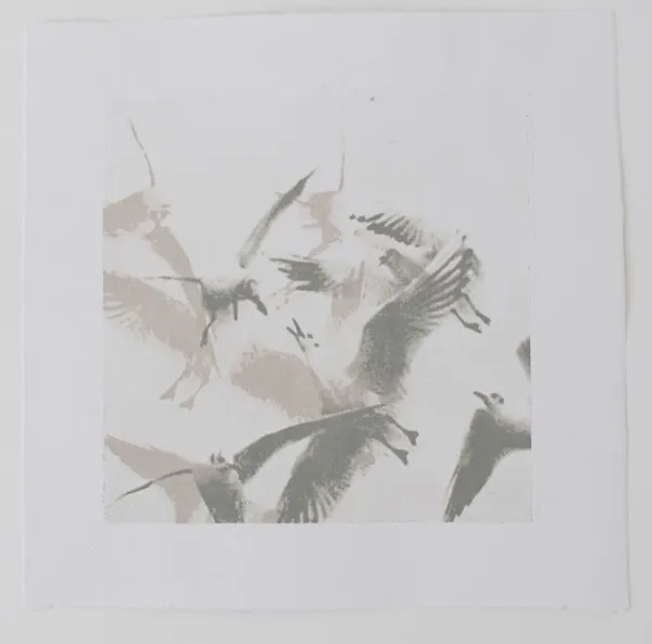 Tiefdruck / Monotypien Gumprint, Werk 24 von 47 — Pia Schläppi