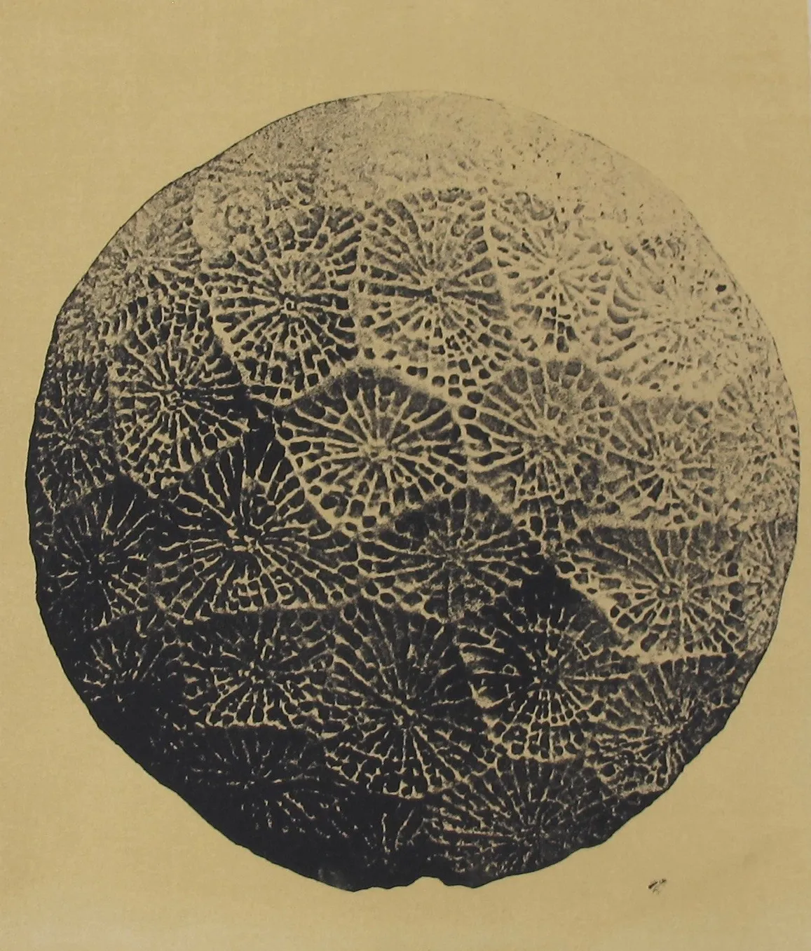 Tiefdruck / Monotypien Gumprint, Werk 23 von 47 — Pia Schläppi